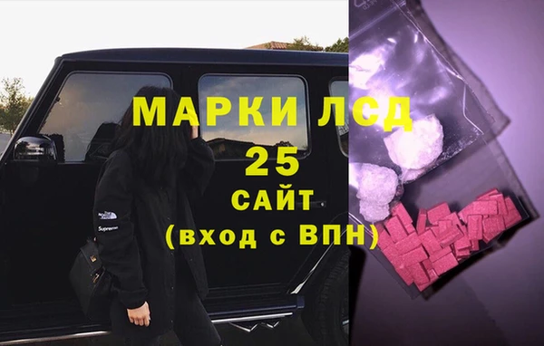 гидра Елизово