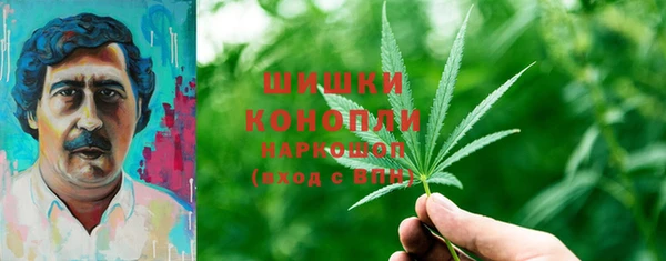 соль курить ск Ельня
