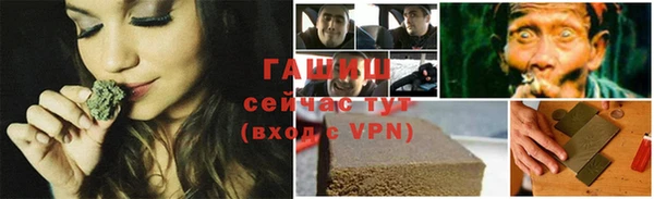 гидра Елизово