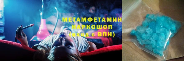 гидра Елизово
