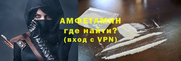 гидра Елизово