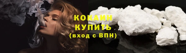 гидра Елизово