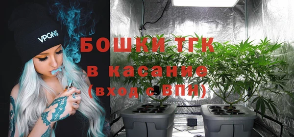 гидра Елизово