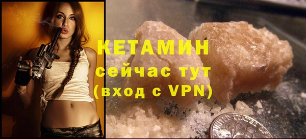 гидра Елизово