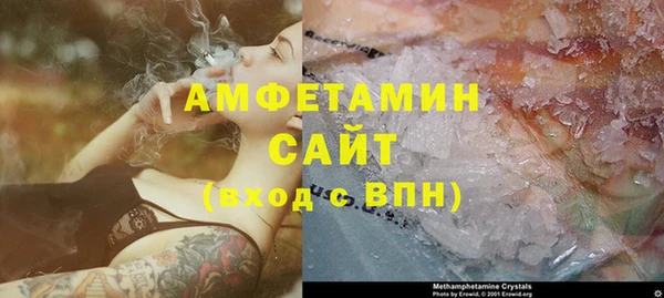 гидра Елизово