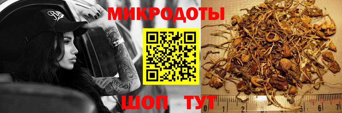Псилоцибиновые грибы MAGIC MUSHROOMS  Вход с VPN  Протвино  Псилоцибиновые грибы Psilocybe 