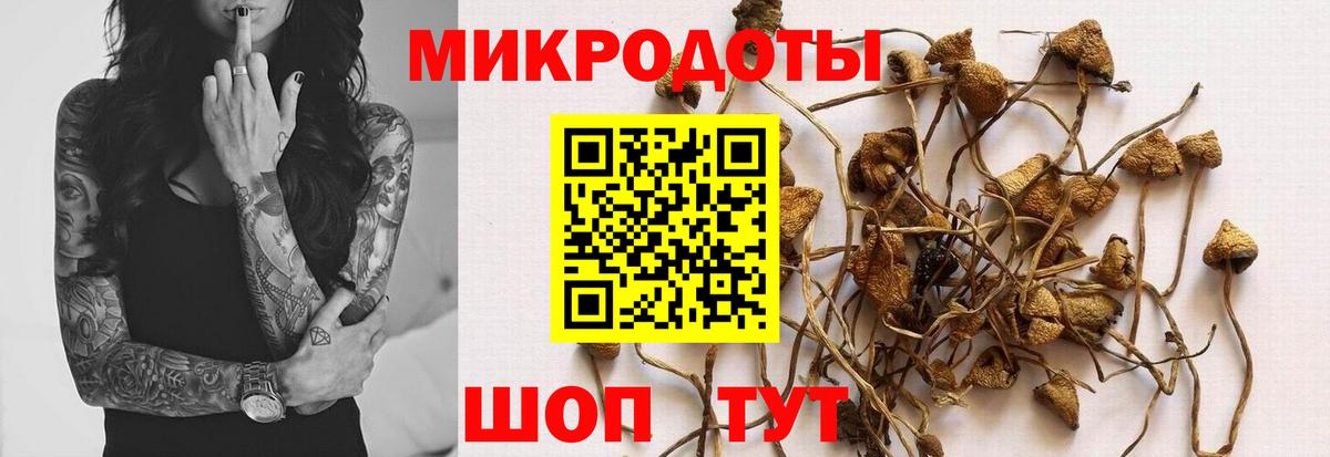 Псилоцибиновые грибы прущие грибы Протвино